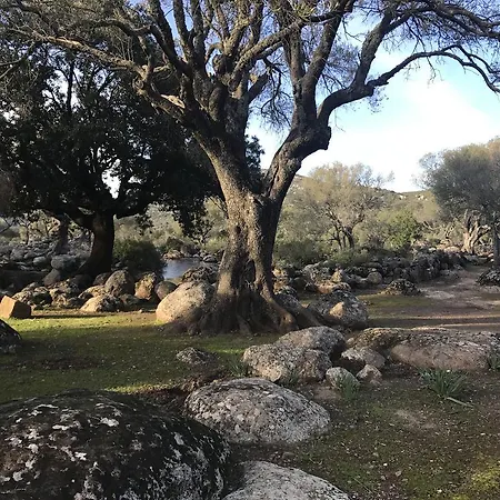 Elianto 4* Santa Maria Navarrese